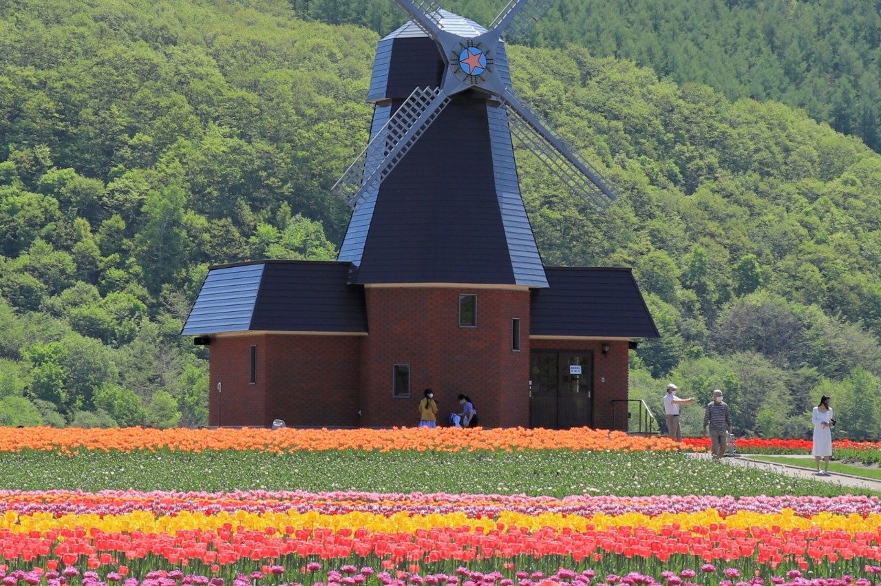 🌷 가미유베쓰 튤립 공원(카미유베쓰츄릿푸코엔) 이미지 6